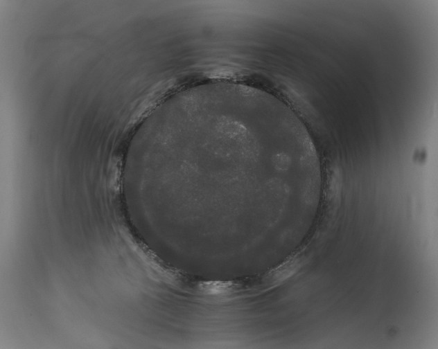 X0000114590273200911161338