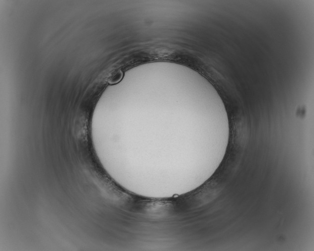 X0000114590274200911161338