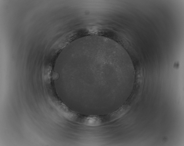 X0000114590275200911161338