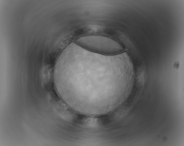 X0000114590276200911161338