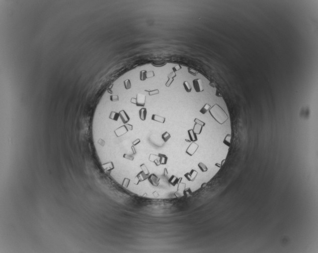 X0000114590278200911161338