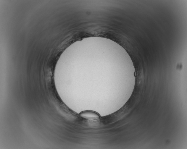 X0000114590279200911161338