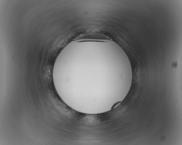 X0000114590280200911161338