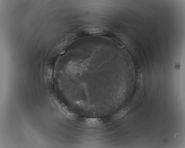 X0000114590281200911161338