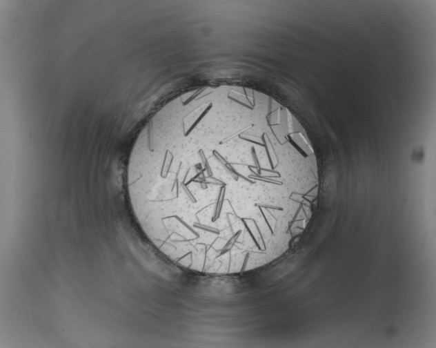 X0000114590282200911161338