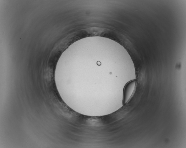 X0000114590283200911161338