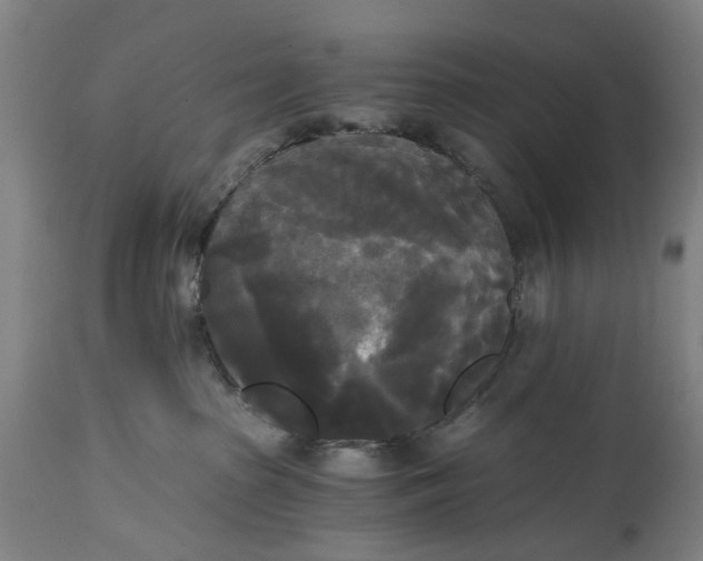 X0000114590285200911161338