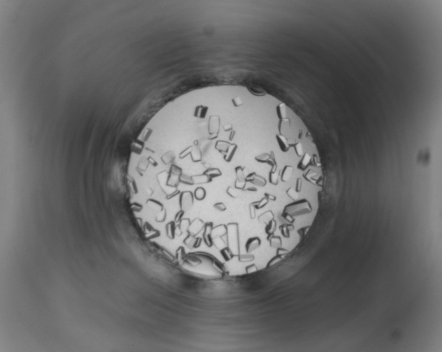 X0000114590286200911161338