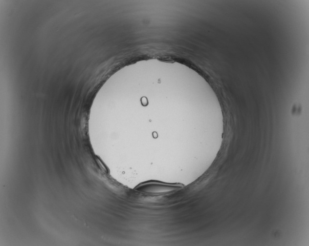 X0000114590288200911161338