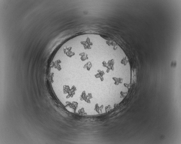 X0000114590291200911161337