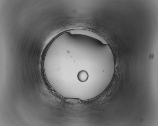 X0000114590292200911161337