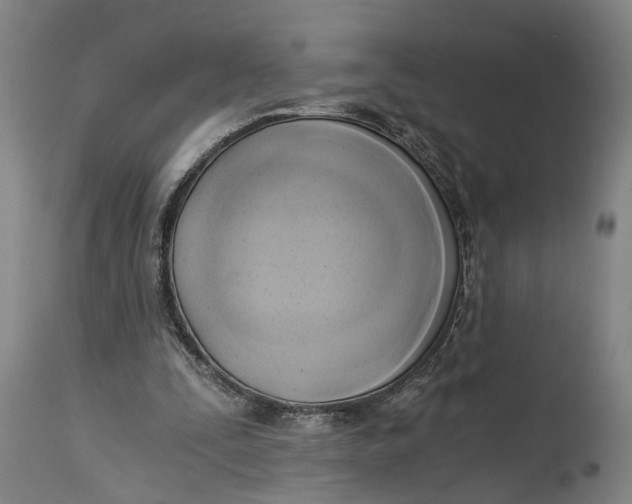 X0000114590295200911161337