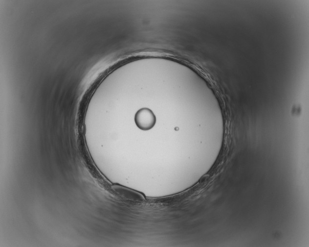 X0000114590296200911161337