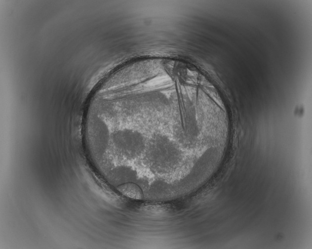 X0000114590299200911161337