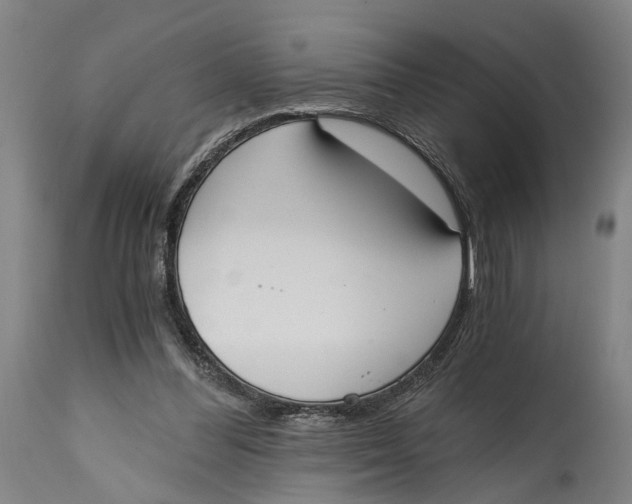 X0000114590300200911161337