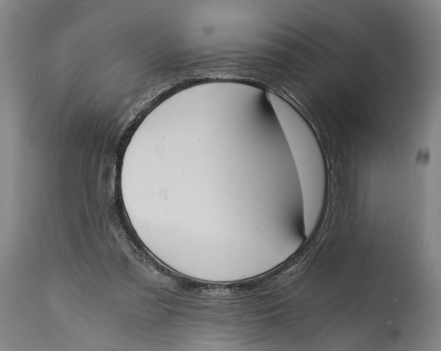 X0000114590301200911161337