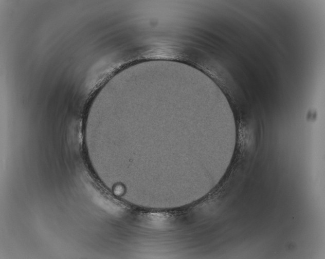 X0000114590302200911161337