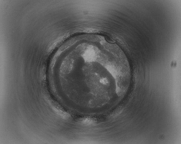 X0000114590303200911161337