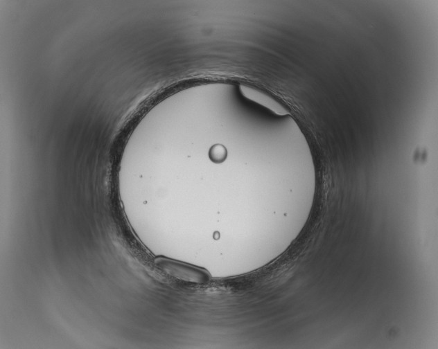 X0000114590304200911161337