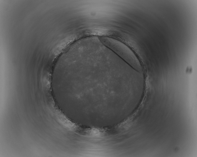 X0000114590305200911161337