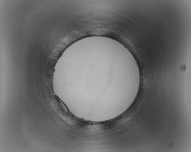 X0000114590307200911161337