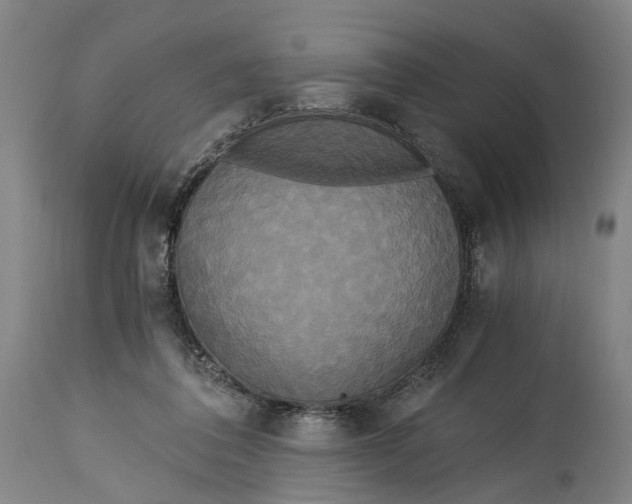 X0000114590308200911161337