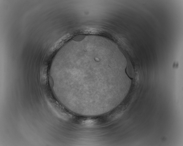 X0000114590312200911161337