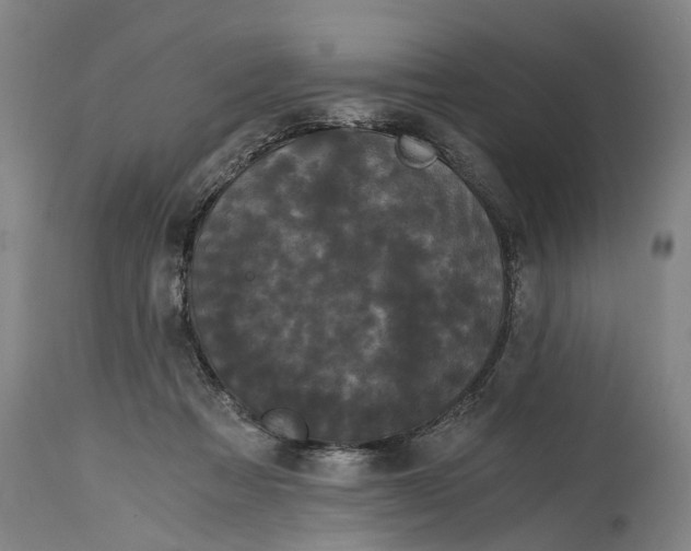 X0000114590313200911161337