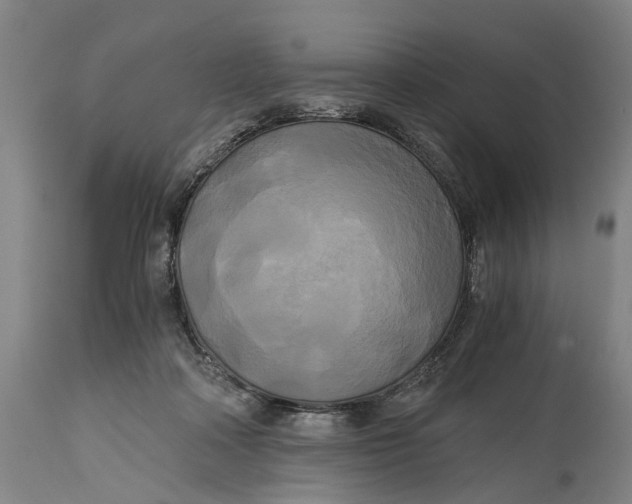 X0000114590314200911161337