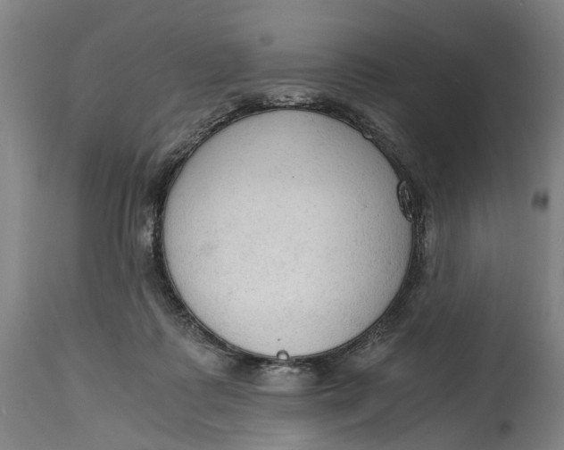 X0000114590315200911161337