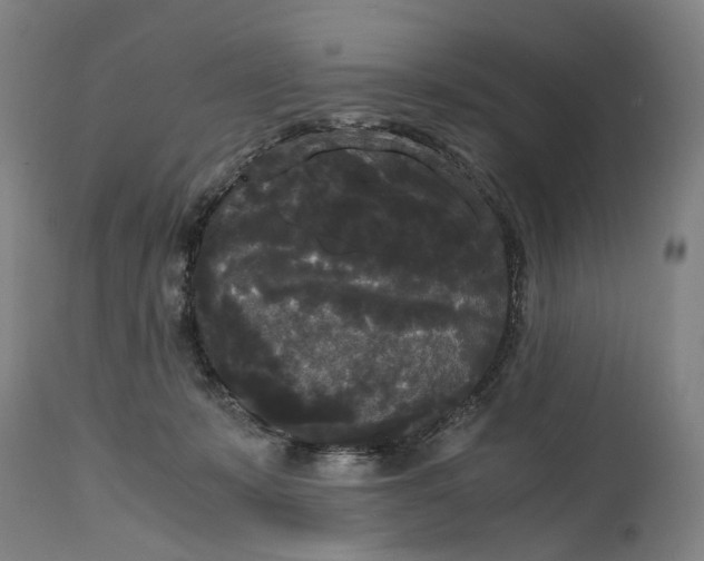 X0000114590319200911161337