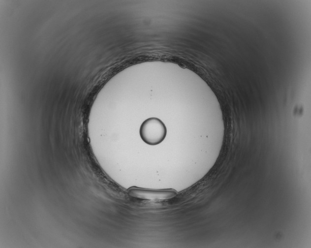 X0000114590320200911161337