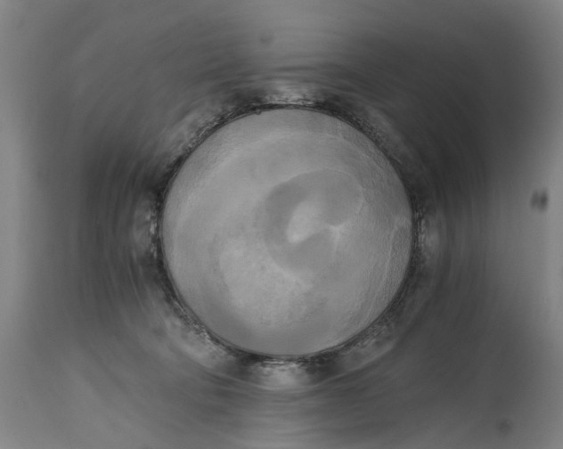 X0000114590322200911161337