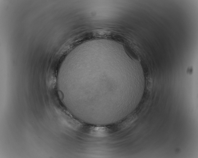 X0000114590324200911161337