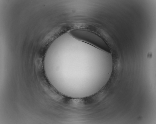 X0000114590327200911161337