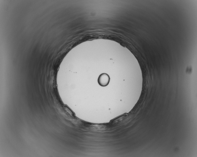 X0000114590328200911161337