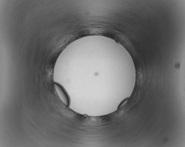 X0000114590329200911161337