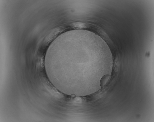 X0000114590330200911161337