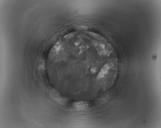 X0000114590331200911161337