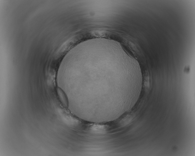 X0000114590332200911161337