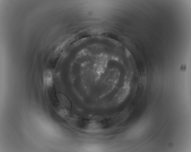 X0000114590335200911161337