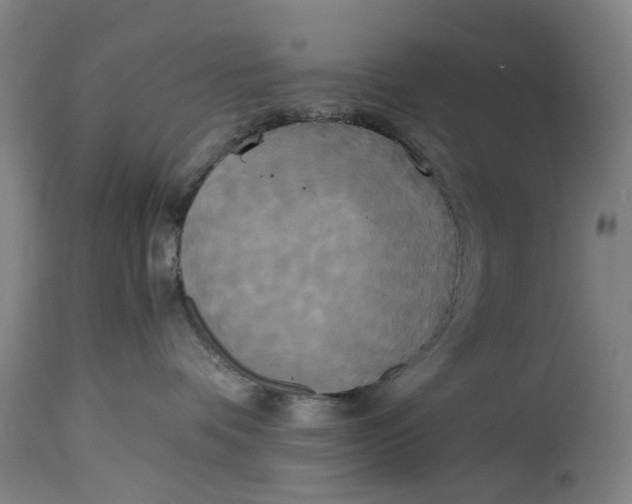 X0000114590336200911161337