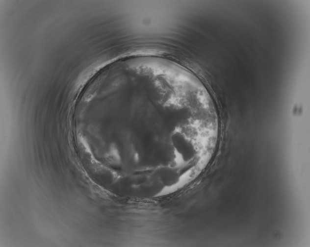 X0000114590337200911161336