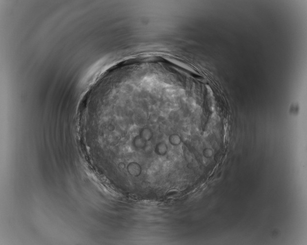 X0000114590339200911161336