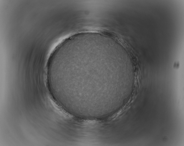 X0000114590342200911161336