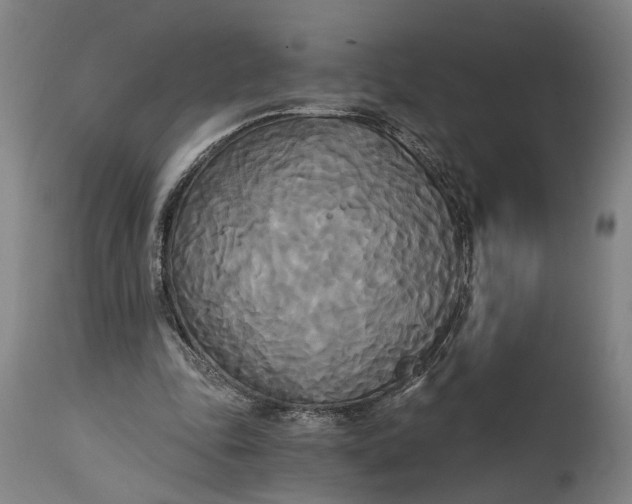 X0000114590343200911161336