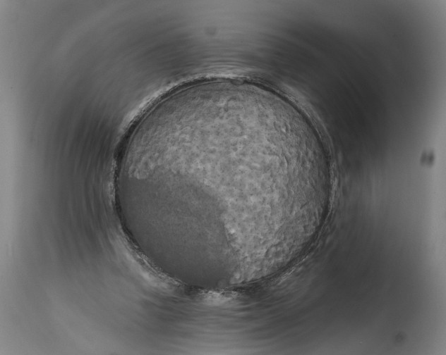 X0000114590346200911161336