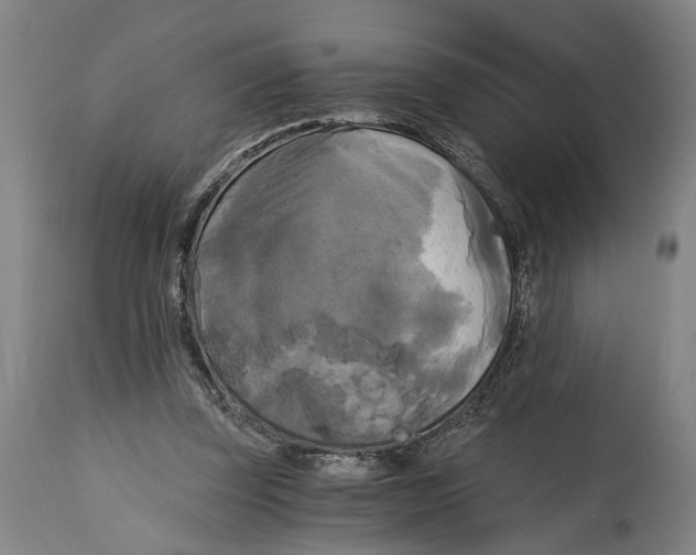 X0000114590347200911161336