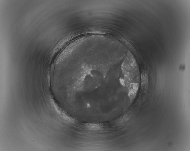 X0000114590349200911161336