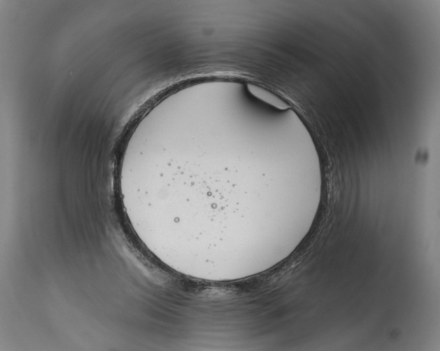 X0000114590350200911161336